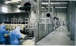DWC系列脱水蔬菜带式干燥机