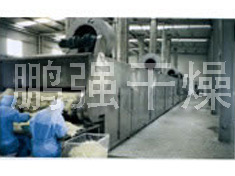 DWC系列脱水蔬菜带式干燥机